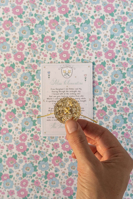 The Tooth Fairy's Lost Bag Button