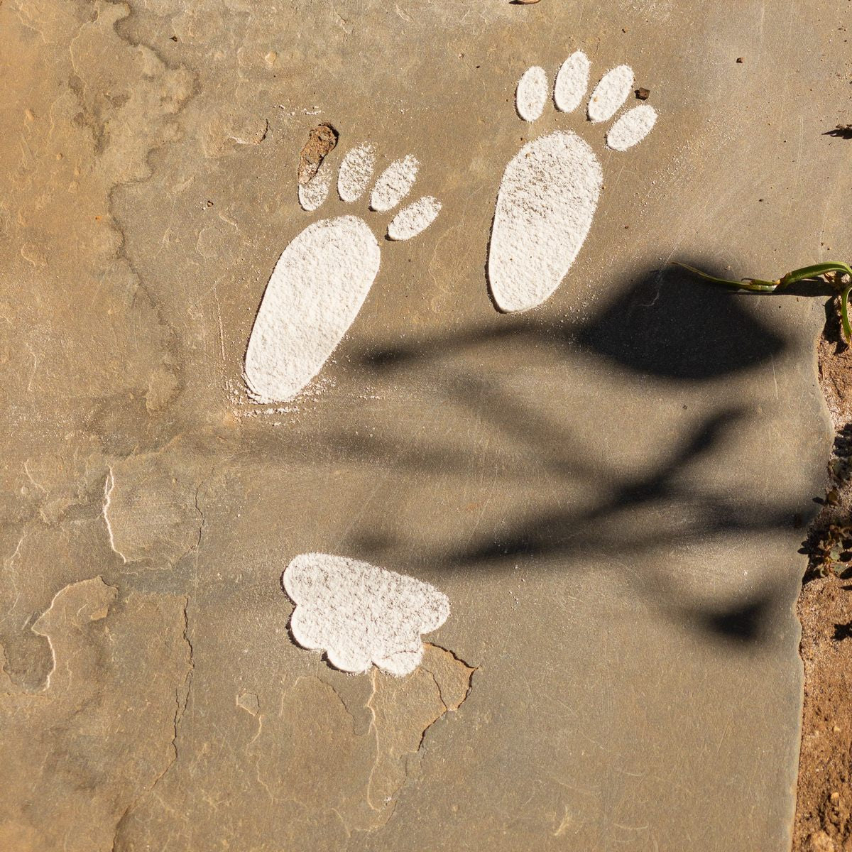 Easter Bunny Paw and Tail Print Stencil Pack