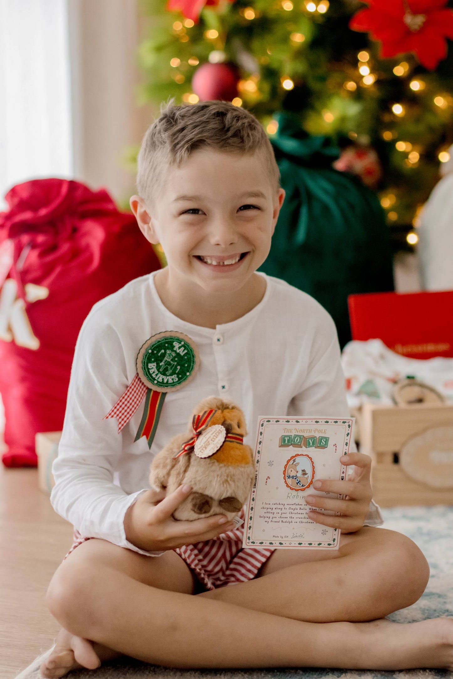 Robin the Bird Soft Toy