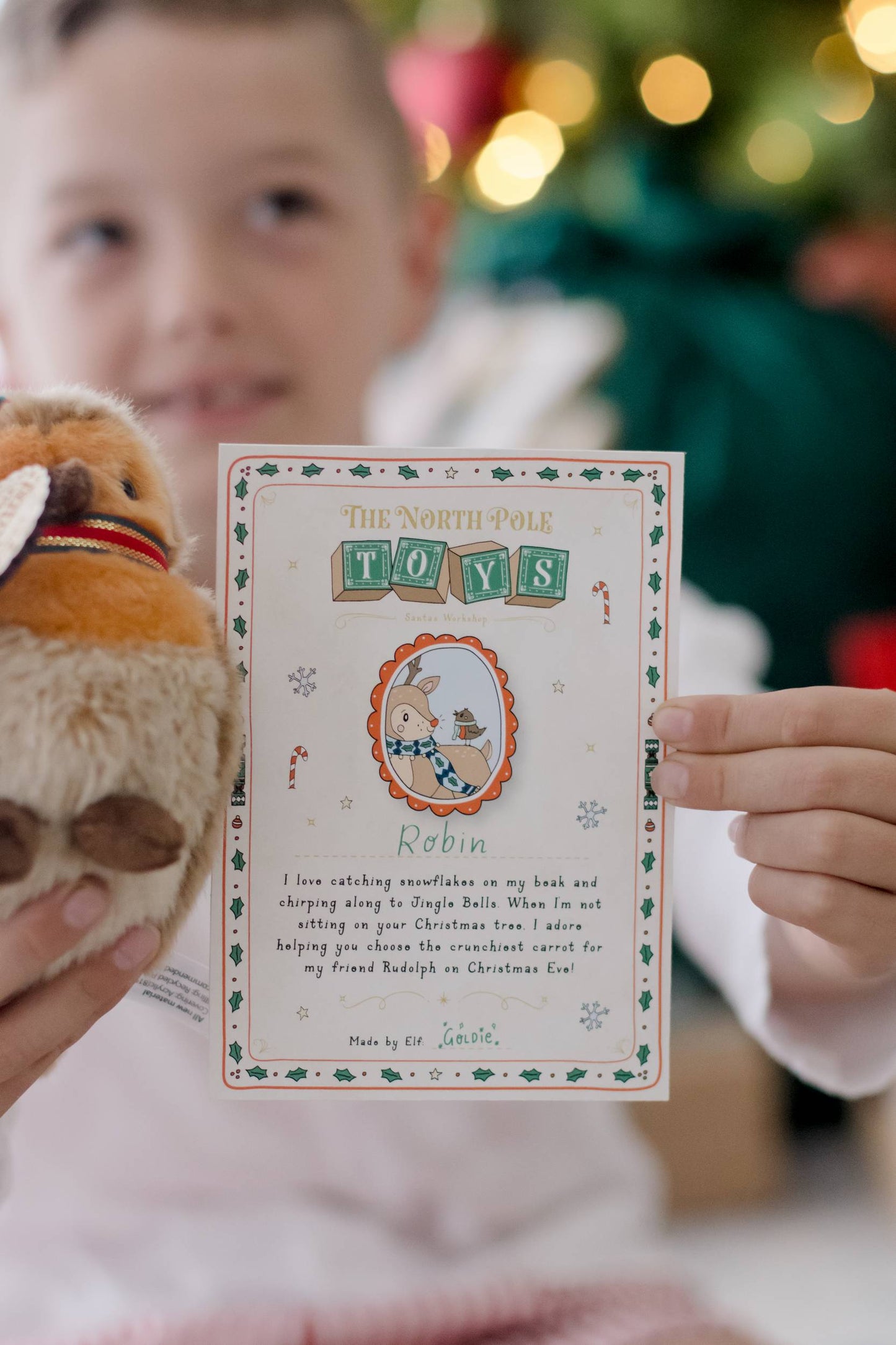 Robin the Bird Soft Toy