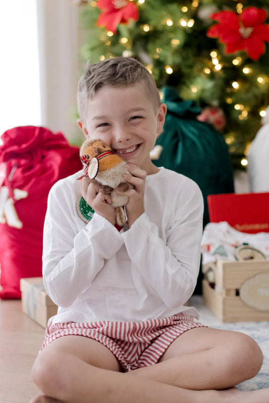 Robin the Bird Soft Toy