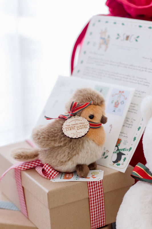 Robin the Bird Soft Toy