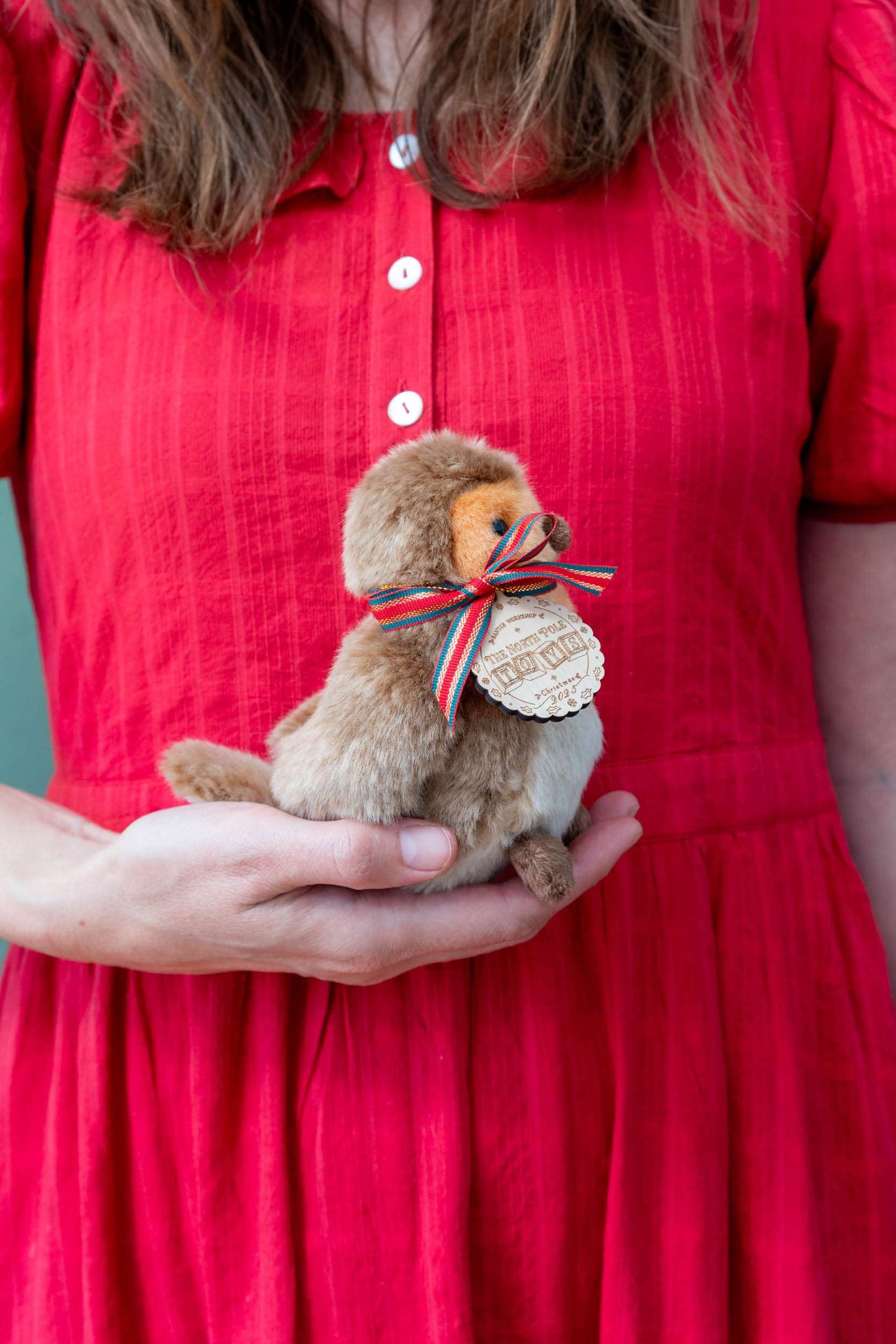 Robin the Bird Soft Toy