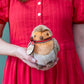 Robin the Bird Soft Toy