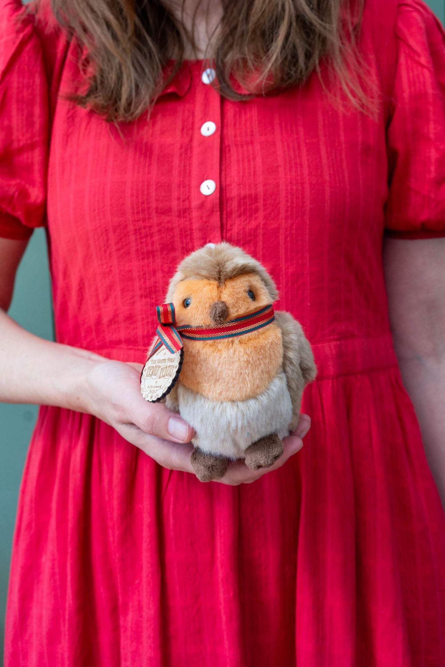 Robin the Bird Soft Toy
