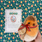 Robin the Bird Soft Toy