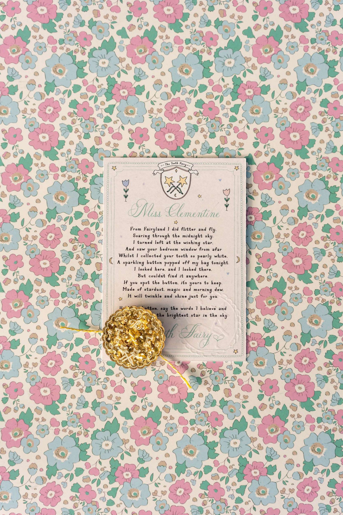 The Tooth Fairy's Lost Bag Button