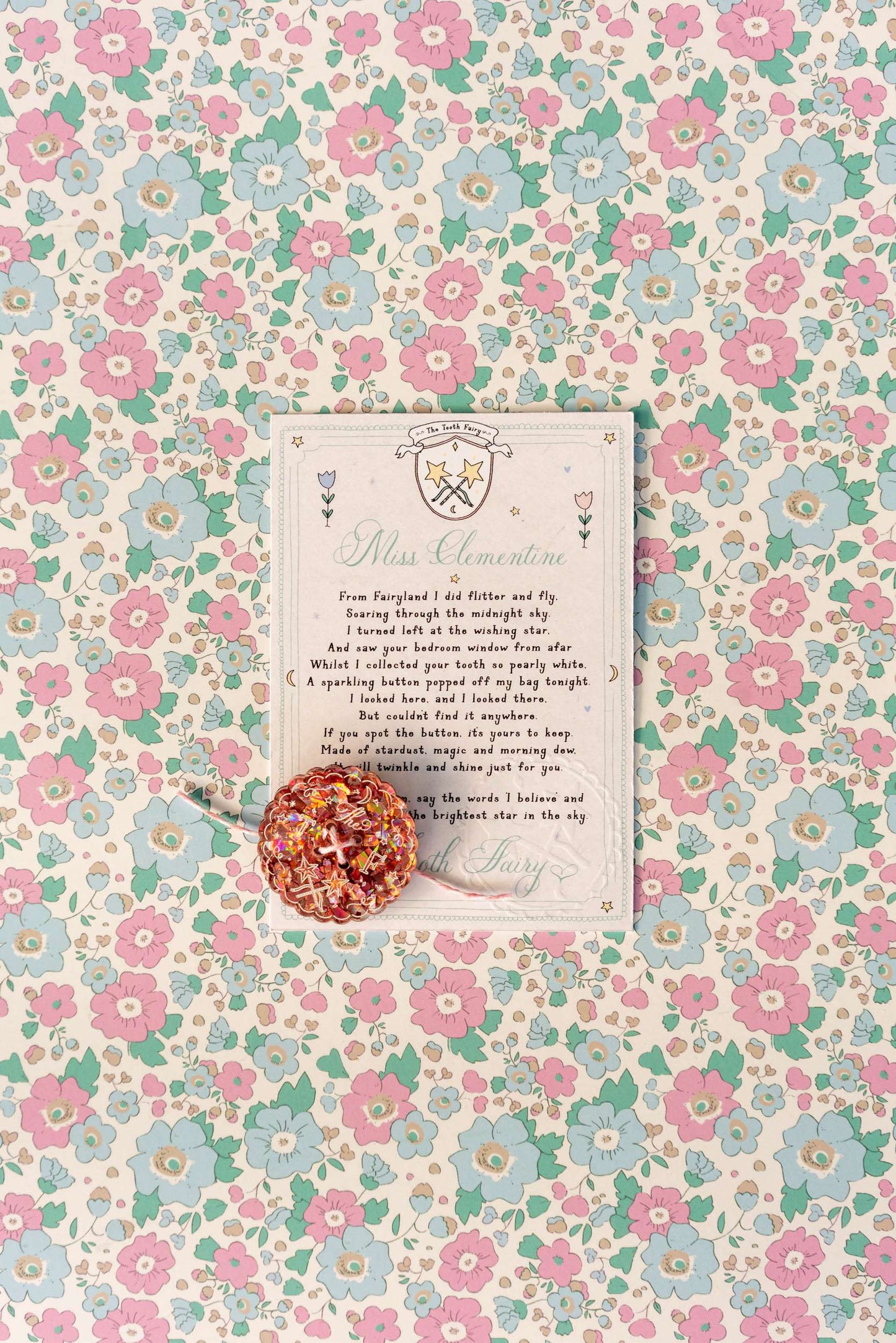 The Tooth Fairy's Lost Bag Button