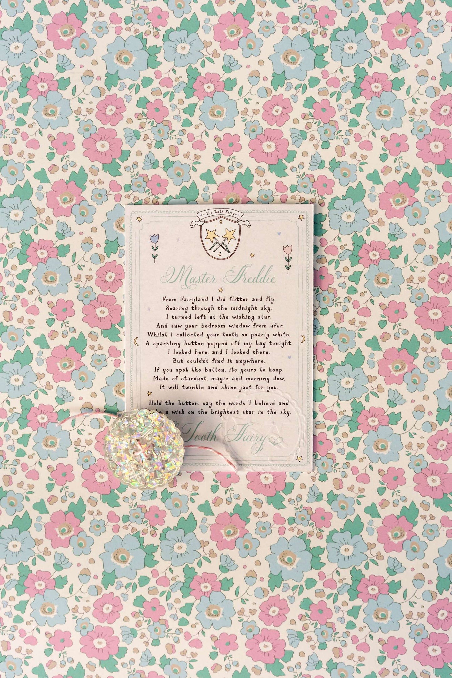 The Tooth Fairy's Lost Bag Button