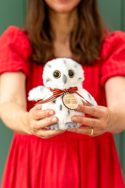Marshmallow the Snowy Owl Soft Toy