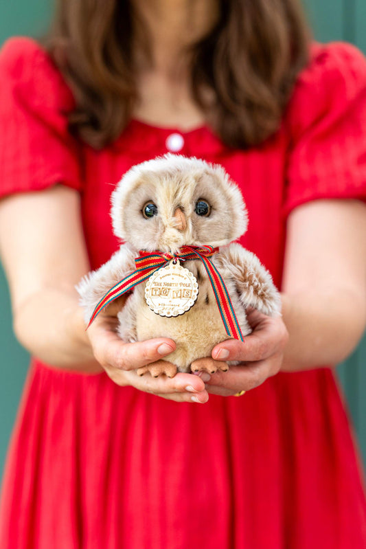 Merry the Brown Owl Soft Toy