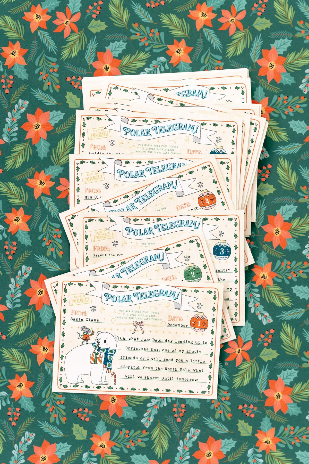 Polar Telegrams for Advent Calendar - Pack of 24
