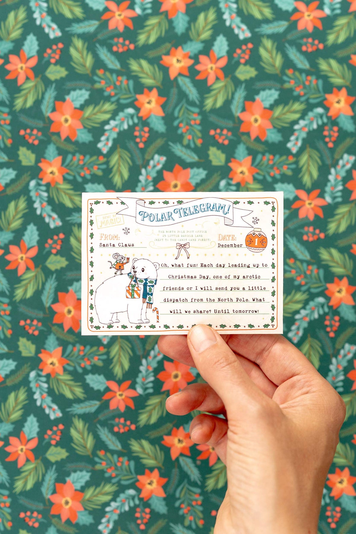 Polar Telegrams for Advent Calendar - Pack of 24