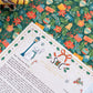 The Illustrated Santa Letter