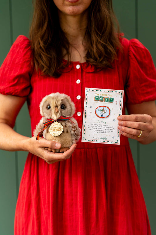 Merry the Brown Owl Soft Toy