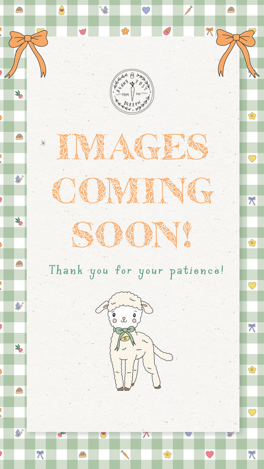 Bunny Lollipop - Cotton Candy Pink