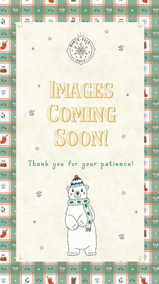 Polar Telegrams Advent Pack of 24