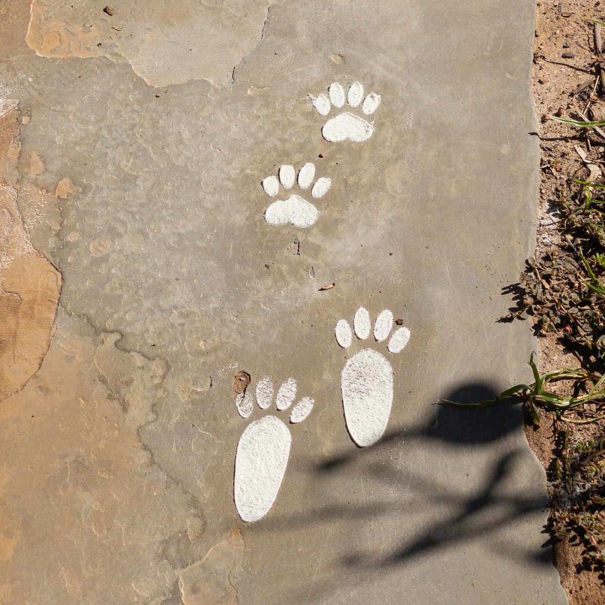 Easter Bunny Paw and Tail Print Stencil Pack